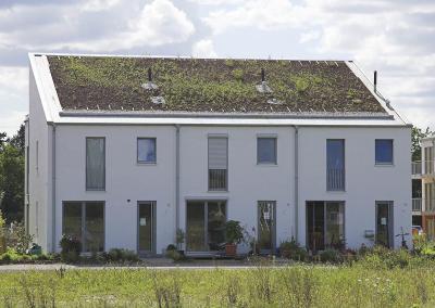 Begrüntes Steildach Mehrfamilienhaus (St.Augustin)